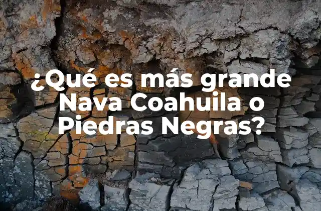 ¿qué es Más Grande Nava Coahuila o Piedras Negras? 2 Comparando características geográficas y económicas
