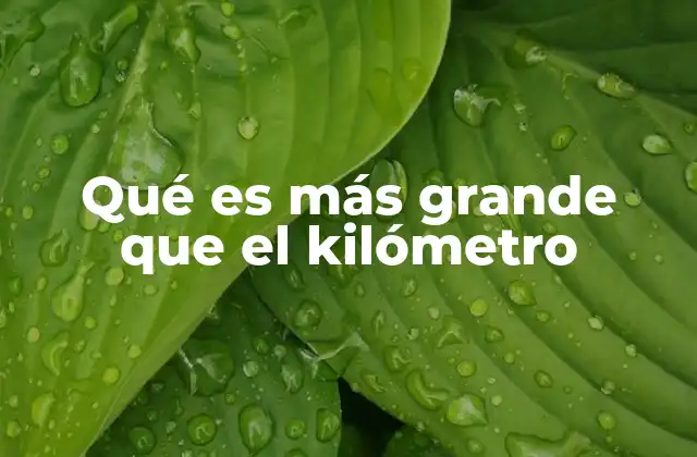 Qué es Más Grande que el Kilómetro