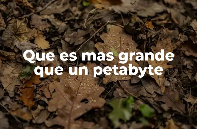 Que es mas Grande que un Petabyte