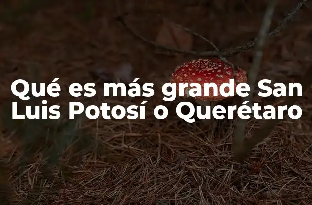 Qué es Más Grande San Luis Potosí o Querétaro