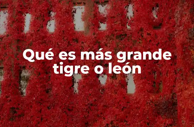 Qué es Más Grande Tigre o León