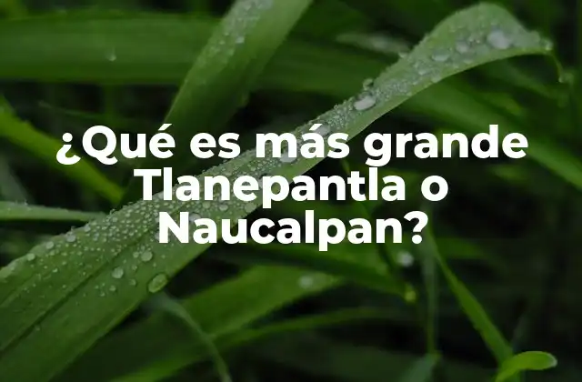 ¿qué es Más Grande Tlanepantla o Naucalpan?