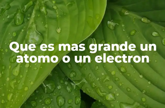 Que es mas Grande un Atomo o un Electron