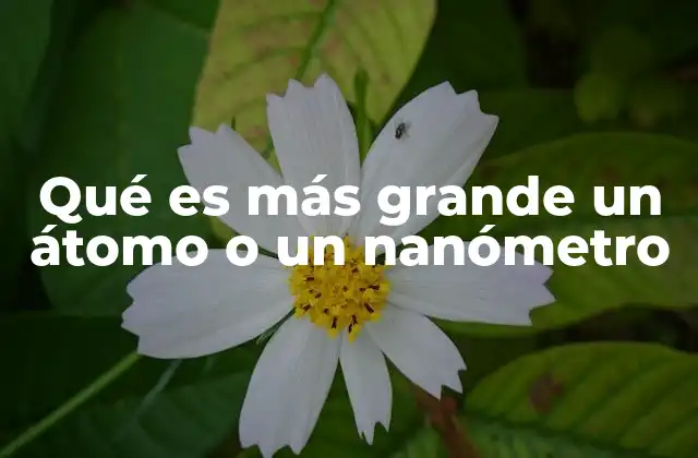 Qué es Más Grande un Átomo o un Nanómetro