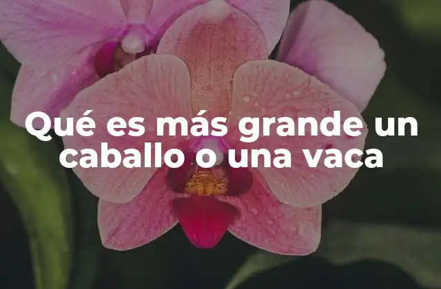 Qué es Más Grande un Caballo o una Vaca 2 Comparando las características físicas de dos animales domésticos