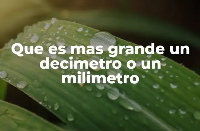 Que es mas Grande un Decimetro o un Milimetro