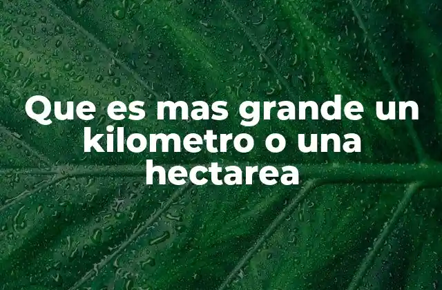 Que es mas Grande un Kilometro o una Hectarea