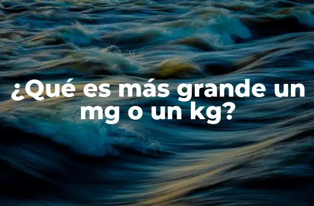 ¿qué es Más Grande un Mg o un Kg?