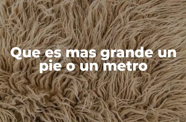 Que es mas Grande un Pie o un Metro