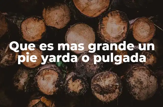 Que es mas Grande un Pie Yarda o Pulgada
