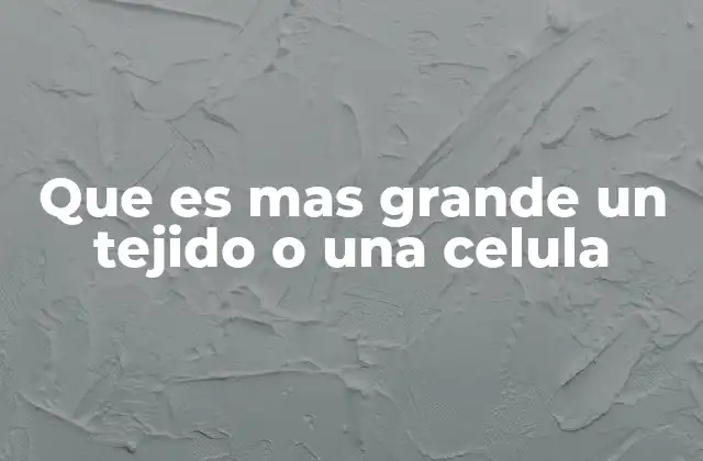 La relación funcional entre células y tejidos