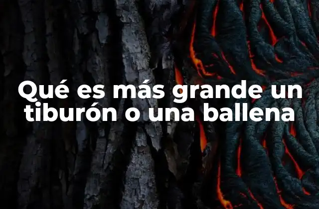 Qué es Más Grande un Tiburón o una Ballena