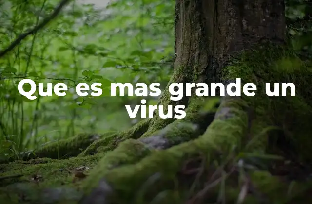 Que es mas Grande un Virus