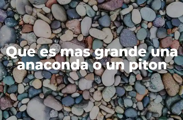 Que es mas Grande una Anaconda o un Piton