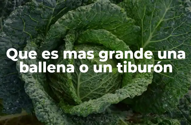 La magnitud de los gigantes marinos