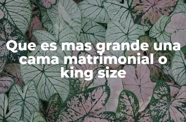 Que es mas Grande una Cama Matrimonial o King Size