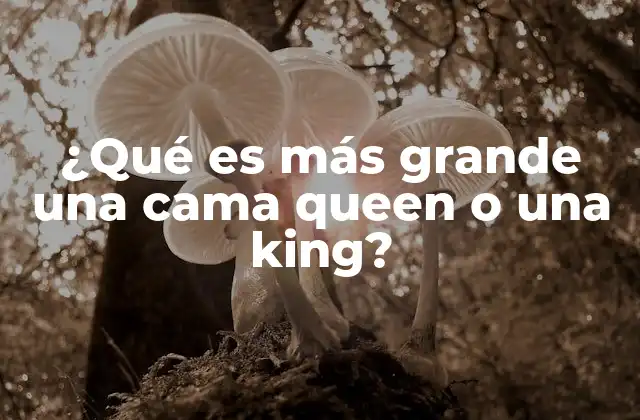 ¿qué es Más Grande una Cama Queen o una King?