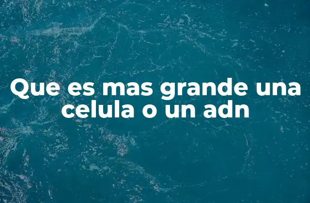 Que es mas Grande una Celula o un Adn