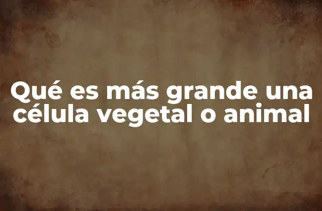 Qué es Más Grande una Célula Vegetal o Animal
