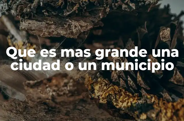 Que es mas Grande una Ciudad o un Municipio