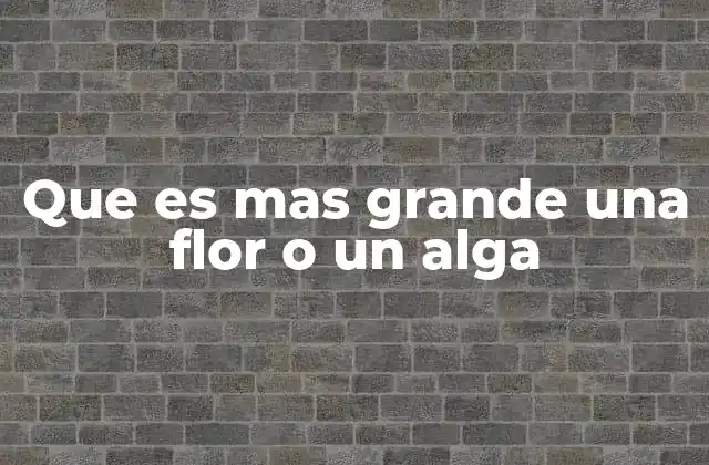 Que es mas Grande una Flor o un Alga 11 Comparando estructuras vegetales en entornos diferentes