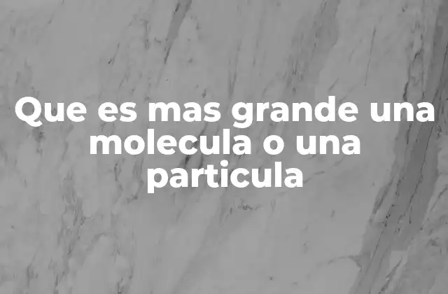 Que es mas Grande una Molecula o una Particula