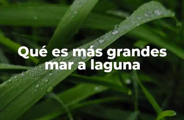 Qué es Más Grandes Mar a Laguna