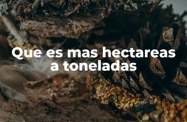 La relación entre área y masa en contextos industriales