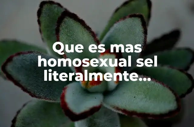 Que es mas Homosexual Sel Literalmente Homesxual 2 La evolución del lenguaje LGBTQ+ y la importancia de los términos