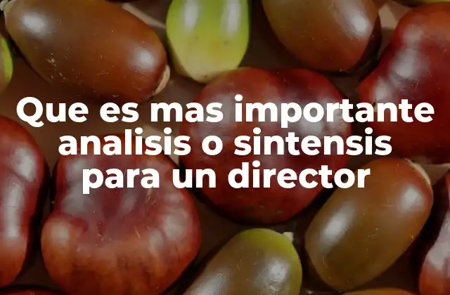Que es mas Importante Analisis o Sintensis para un Director