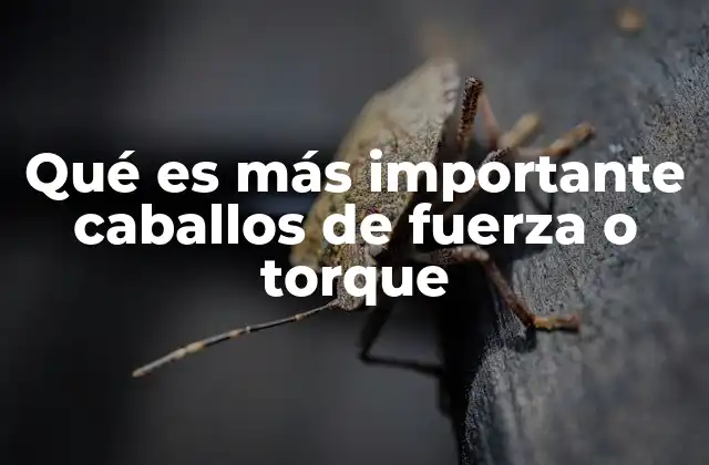 Qué es Más Importante Caballos de Fuerza o Torque