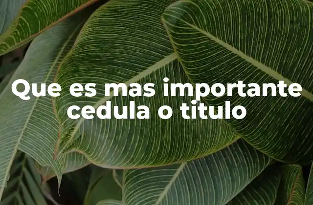 Que es mas Importante Cedula o Titulo