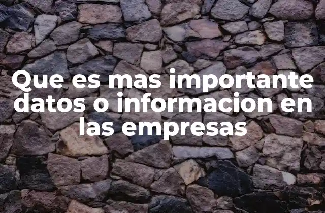 Que es mas Importante Datos o Informacion en las Empresas