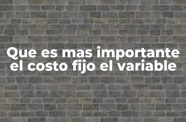 Que es mas Importante el Costo Fijo el Variable