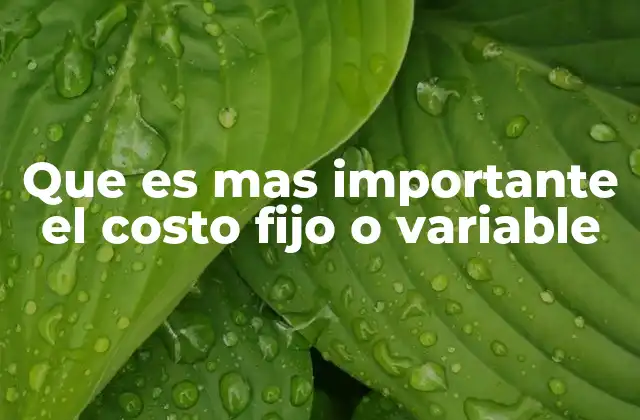 Que es mas Importante el Costo Fijo o Variable