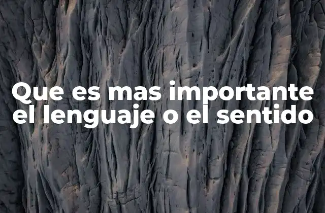 Que es mas Importante el Lenguaje o el Sentido