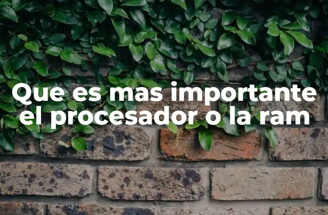 Que es mas Importante el Procesador o la Ram