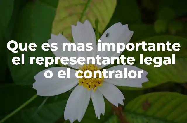 Que es mas Importante el Representante Legal o el Contralor 2 La dinámica de poder entre las figuras clave en una organización