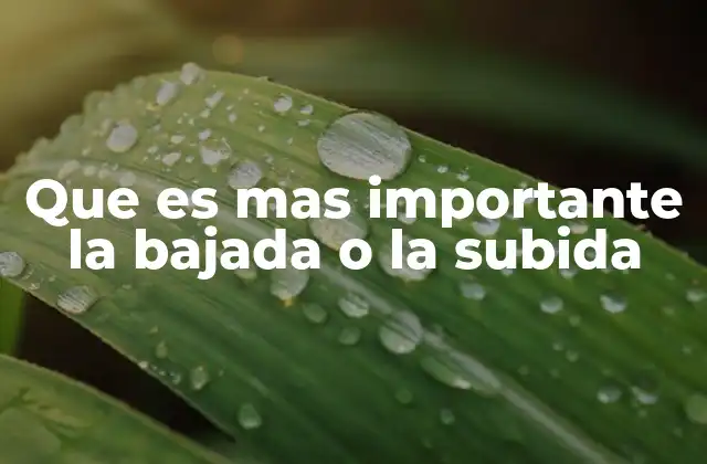 Que es mas Importante la Bajada o la Subida 2 El equilibrio entre los movimientos ascendentes y descendentes