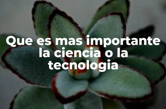 Que es mas Importante la Ciencia o la Tecnologia 2 El equilibrio entre conocimiento y aplicación
