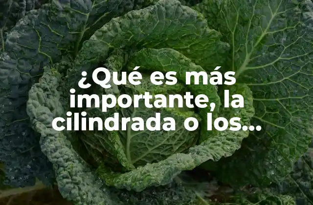 ¿qué es Más Importante, la Cilindrada o los Caballos de Fuerza?