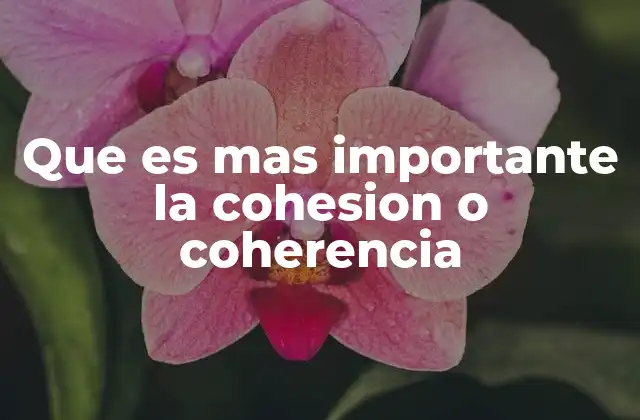Que es mas Importante la Cohesion o Coherencia