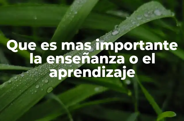 Que es mas Importante la Enseñanza o el Aprendizaje