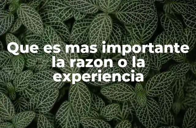 Que es mas Importante la Razon o la Experiencia