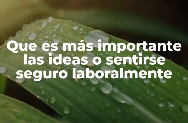 Que es Más Importante las Ideas o Sentirse Seguro Laboralmente