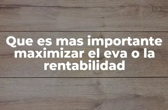 Que es mas Importante Maximizar el Eva o la Rentabilidad