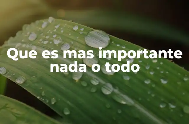 Que es mas Importante Nada o Todo