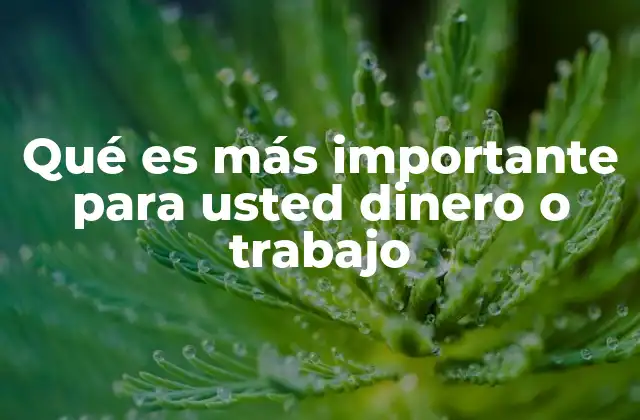 Qué es Más Importante para Usted Dinero o Trabajo