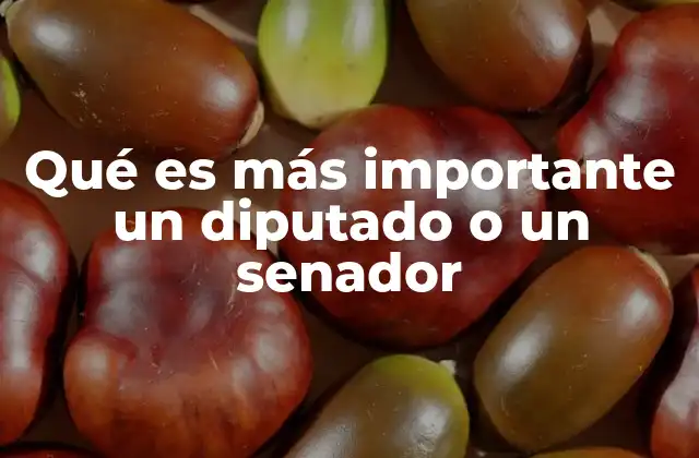 Qué es Más Importante un Diputado o un Senador 2 El poder legislativo en manos de los representantes