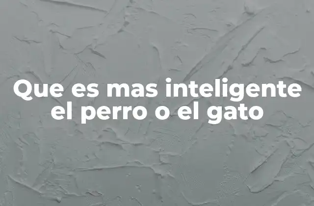 Que es mas Inteligente el Perro o el Gato 2 Inteligencia animal: perros frente a gatos